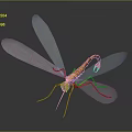 Bright Orange Bodied Dragonfly With Transparent White Wings Against Dark Background