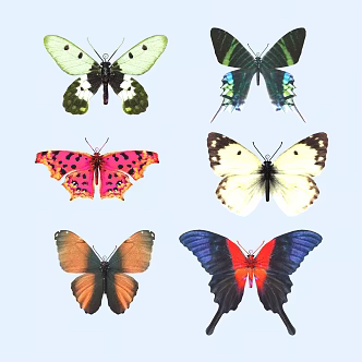 butterfly animal flying creature 3d model