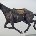 Detailed Black Horse Galloping With Saddle And Bridle In Motion