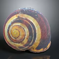Natural Spiral Shell Decorative Ornament Set With Brown Yellow White Texture For Home Decor