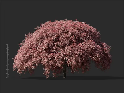 Lush Pink Leaf Arbor With Dense Rounded Canopy In 3D Render 3d model