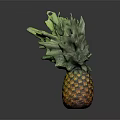 Fresh Yellow Pineapple with Green Leafy Top on Dark Background and Clear Reflection
