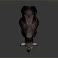 Dark Brown Yak With Long Horns And Thick Fur Standing On Dark Background
