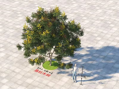 Golden Trumpet Tree With Yellow Flowers And Lush Foliage In Paved Square Area 3d model
