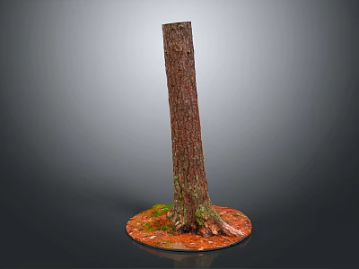 Natural Wooden Tree Trunk Decor With Stone Base And Green Moss Texture 3d model