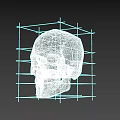 White Human Skull with Red Grid Lines for 3D Modeling and Anatomical Study