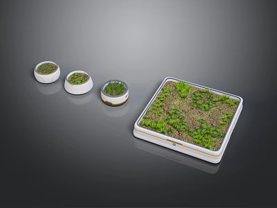 Modern Bonsai Planters with Small Green Plants in Stylish Square and Round Containers 3d model