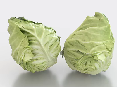 Fresh Green Cabbages Displayed On White Background 3d model