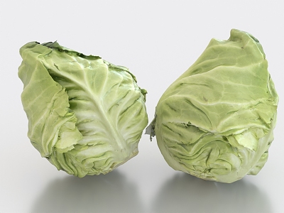 lettuce cabbage green cabbage purple cabbage vegetable food 3d model