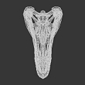 Detailed Anatomical Dinosaur Skull Fossil With Sharp Teeth And Bone Texture
