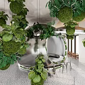 Lush Hanging Green Plants Decorated Café Interior With Foliage And Seating Area