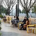 Modern Park Landscape With Yellow Benches People Dog Trees Green Plants And Wooden Walkway