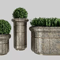 Bonsai Potted Plants In Metal Planters With Green Shrub And Various Shapes