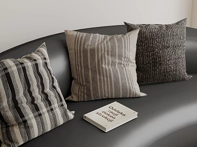 Striped And Textured Decorative Pillows On Black Sofa With Changing The World Book 3d model