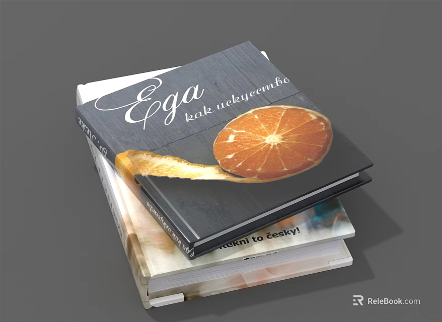 Ega Book With Orange Slice Cover Design Stacked On Other Books 3d model 