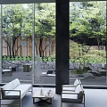 Modern Sales Office Interior With Large Glass Windows And Green Trees View