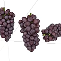 Fresh Ripe Purple Grapes Bunch of Juicy Fruits on White Background