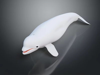 White Beluga Whale With Open Mouth Black Eyes Smooth Streamlined Body On Dark Reflective Background 3d model