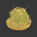 Green Cactus Plant With Yellow Spines In Orange Pot And Soil