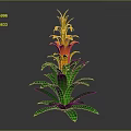 Tall Vibrant Tropical Plant With Green Leaves And Orange Layered Flowers