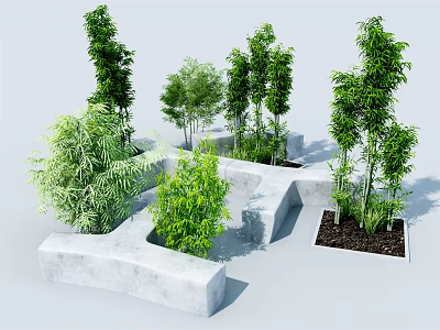 Various Bamboo Plants Growing in Concrete Planters for Modern Garden Design 3d model