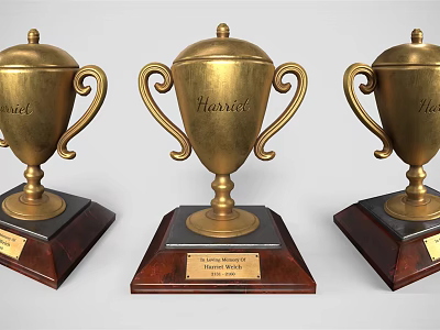 Three Golden Trophies with Wooden Base and Engraved Annual Best Employee Inscriptions Displayed 3d model