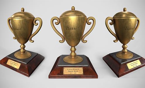 Modern Trophy Prizes Gold Cup 3d model