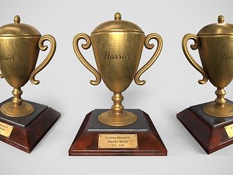 Modern Trophy Prizes Gold Cup 3d model