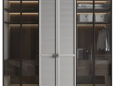 Modern Wardrobe Interior Design With Glass Louvered Doors And Storage Lighting 3d model