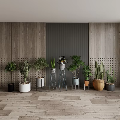 Modern Indoor Bonsai Potted Plants Display With Various Planters And Wooden Wall Background 3d model