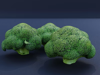 Three Fresh Vibrant Green Broccoli Heads Arranged on Dark Background 3d model