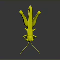 3D Grasshopper Character Model With Low Poly Design And Detailed Legs Antenna 3d model