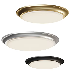 Round Simple Ceiling Lamp 3d model