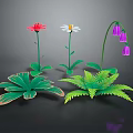 Colorful Garden Plants Featuring Red Flower White Daisy Purple Bellflowers And Green Leafy Ferns