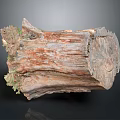 Rustic Wooden Stump With Natural Texture And Visible Tree Rings And Mossy Bark