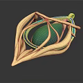 Elegant Gold Leaf Design Pendant With Green Gemstone And Intricate Detailing