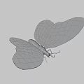 Flying Butterfly With Orange Wings Black Edges And White Spots On Brown Background
