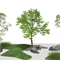 Modern tree landscape sketch dry landscape 3d model