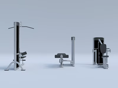 Professional Sports Equipment Collection with Strength Training Machines Workout Benches and Core Training Tools 3d model