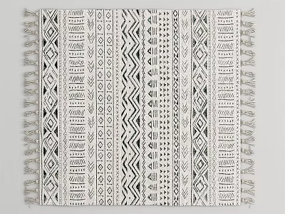 Black and White Modern Square Area Rug with Geometric Patterns and Tassel Edges 3d model