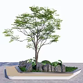 Square Tree Planter Design With Central Tree Stones And Green Plants 3d model