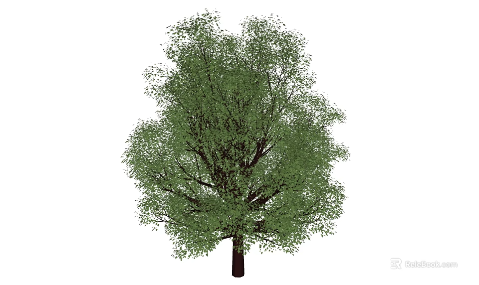 Arbor With Lush Green Foliage Full Natural Crown And Healthy Branch Structure 3d model 