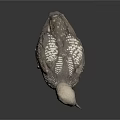 Gray and White Loon Bird Standing on Black Surface with Gray Background