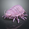 Pink Isopod With Segmented Body And Multiple Legs On Dark Background 3d model