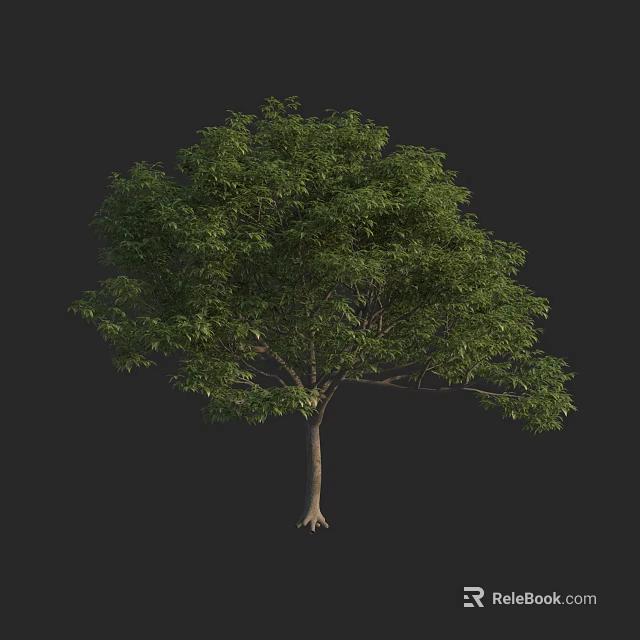 Arbor Tree With Lush Green Canopy Strong Trunk And Healthy Branches 3d model 