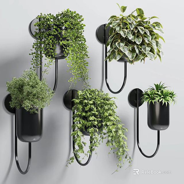 Indoor Wall Mounted Black Planters With Various Green Hanging Foliage Plants 3d model 