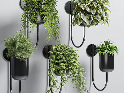Indoor Wall Mounted Black Planters With Various Green Hanging Foliage Plants 3d model