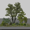 Small Floral Landscape Featuring Trees Shrubs Pink White Flowers And Herbs