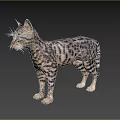Spotted Striped Cat Standing Side View With Gray White Fur And Green Eyes Looking Left