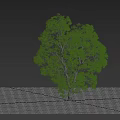 Tall Arbor With Lush Green Foliage Thick Trunk And Human Figure For Scale Reference 3d model